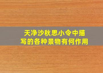 天净沙秋思小令中描写的各种景物有何作用