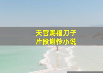 天官赐福刀子片段谢怜小说