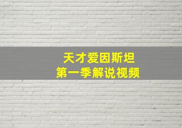 天才爱因斯坦第一季解说视频