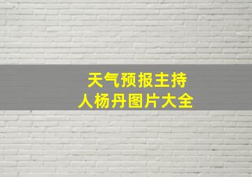 天气预报主持人杨丹图片大全