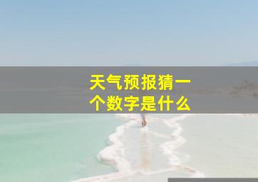 天气预报猜一个数字是什么