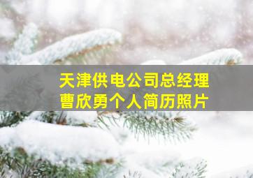 天津供电公司总经理曹欣勇个人简历照片