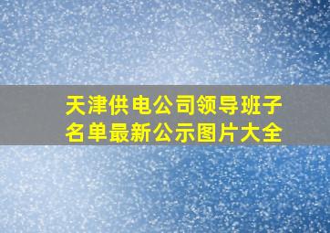 天津供电公司领导班子名单最新公示图片大全