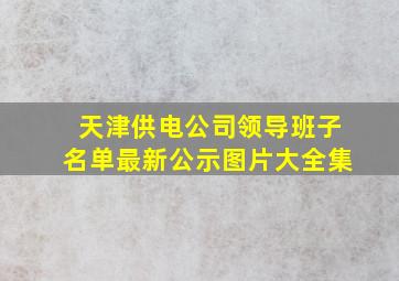 天津供电公司领导班子名单最新公示图片大全集