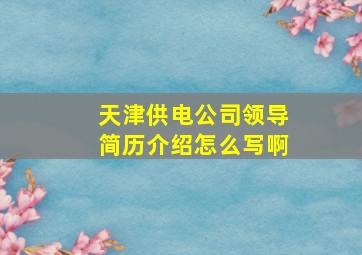 天津供电公司领导简历介绍怎么写啊