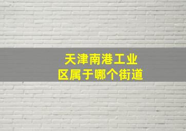 天津南港工业区属于哪个街道