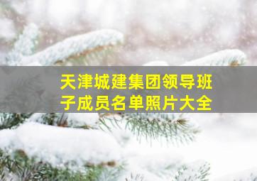 天津城建集团领导班子成员名单照片大全