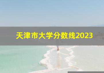 天津市大学分数线2023