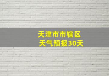 天津市市辖区天气预报30天