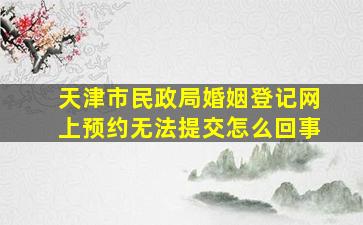 天津市民政局婚姻登记网上预约无法提交怎么回事