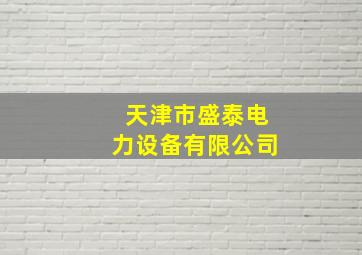 天津市盛泰电力设备有限公司