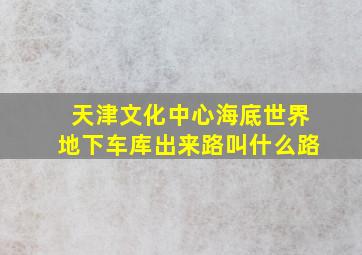 天津文化中心海底世界地下车库出来路叫什么路