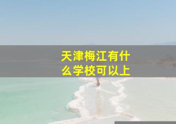 天津梅江有什么学校可以上