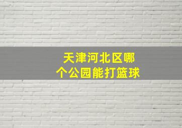 天津河北区哪个公园能打篮球