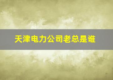 天津电力公司老总是谁