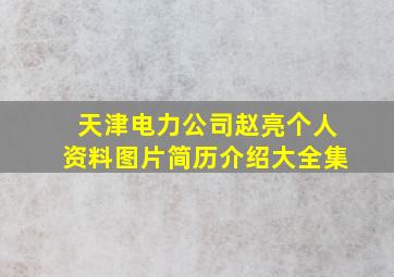 天津电力公司赵亮个人资料图片简历介绍大全集