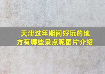 天津过年期间好玩的地方有哪些景点呢图片介绍