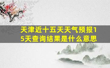 天津近十五天天气预报15天查询结果是什么意思