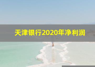 天津银行2020年净利润