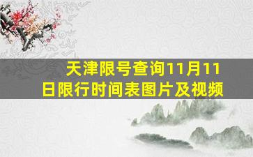 天津限号查询11月11日限行时间表图片及视频