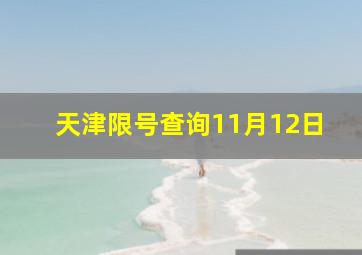 天津限号查询11月12日