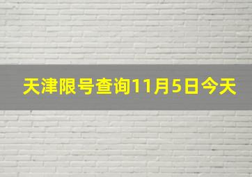 天津限号查询11月5日今天