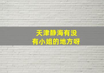 天津静海有没有小姐的地方呀