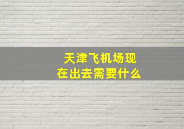 天津飞机场现在出去需要什么