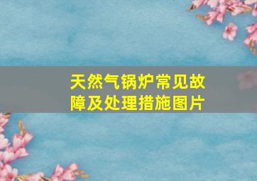 天然气锅炉常见故障及处理措施图片