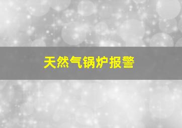 天然气锅炉报警