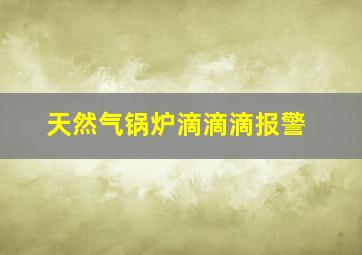 天然气锅炉滴滴滴报警