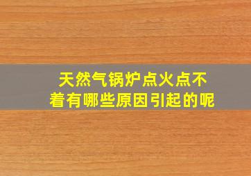 天然气锅炉点火点不着有哪些原因引起的呢