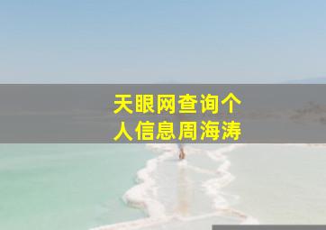 天眼网查询个人信息周海涛