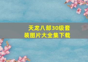 天龙八部30级套装图片大全集下载