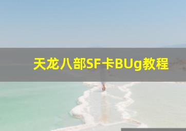 天龙八部SF卡BUg教程