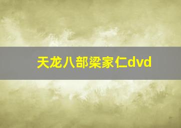 天龙八部梁家仁dvd