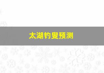 太湖钓叟预测