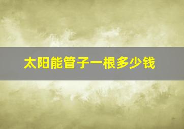 太阳能管子一根多少钱