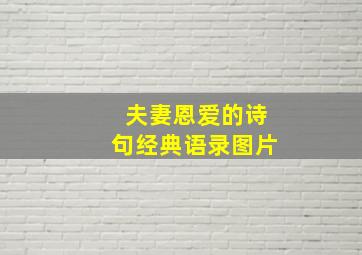 夫妻恩爱的诗句经典语录图片