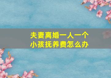 夫妻离婚一人一个小孩抚养费怎么办