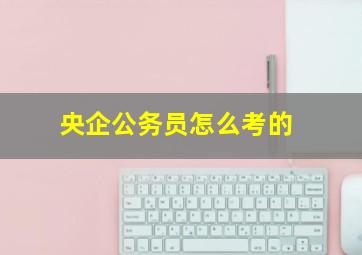 央企公务员怎么考的