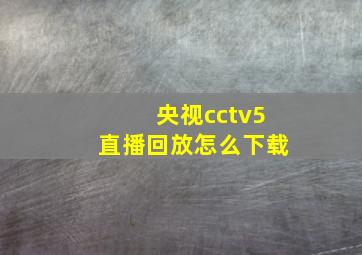 央视cctv5直播回放怎么下载