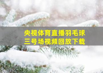 央视体育直播羽毛球三号场视频回放下载