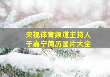 央视体育频道主持人于嘉宁简历图片大全