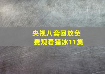 央视八套回放免费观看猎冰11集