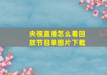 央视直播怎么看回放节目单图片下载