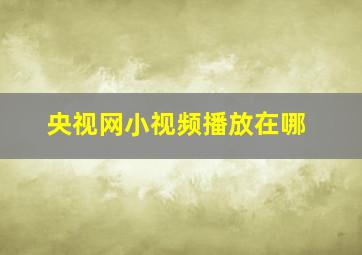 央视网小视频播放在哪