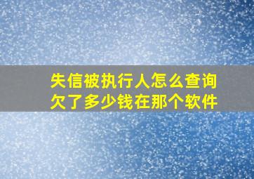 失信被执行人怎么查询欠了多少钱在那个软件