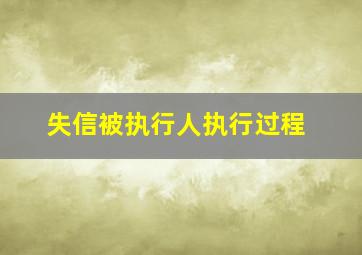 失信被执行人执行过程