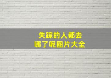 失踪的人都去哪了呢图片大全